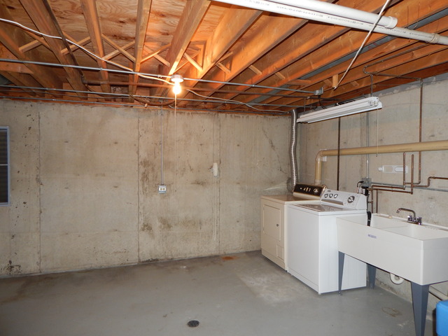 1233 Borough Ct, Wheaton, IL 60189 photo 21