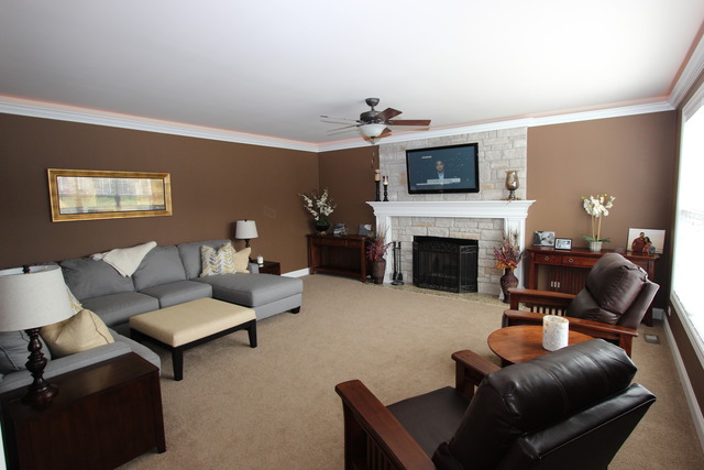 12904 Alpine Way, Plainfield, IL 60585 photo 1