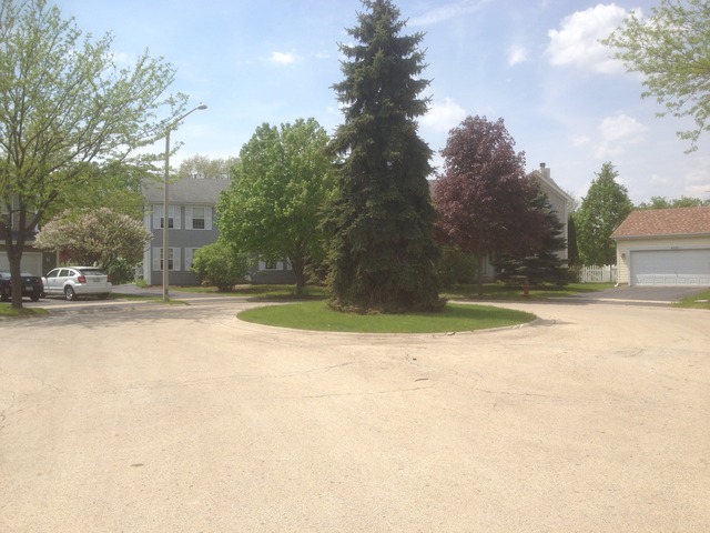 4310 Bronk, Plainfield, IL 60586 photo 3
