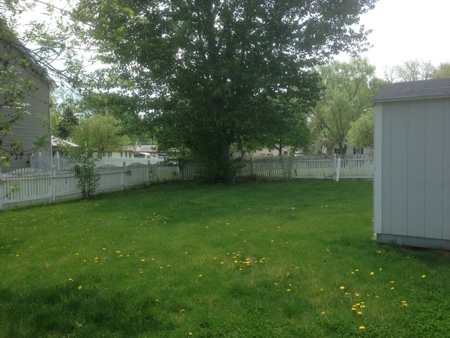 4310 Bronk, Plainfield, IL 60586 photo 21
