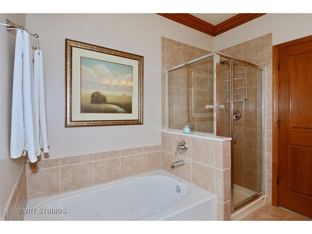 1376 Mansfield Dr, Aurora, IL 60502 photo 14