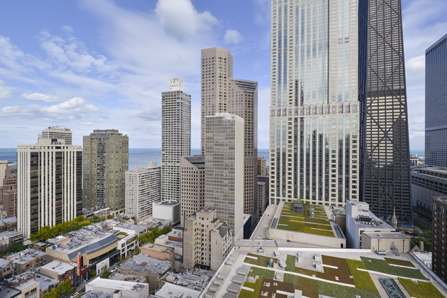 11 E Walton St #3001, Chicago, IL 60611 photo 15