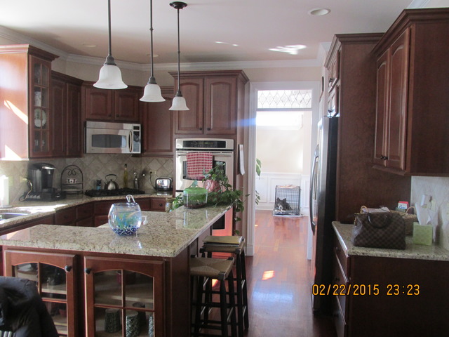 12931 Hawks Bill Ct, Plainfield, IL 60585 photo 4