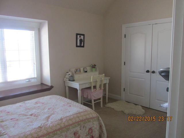 12931 Hawks Bill Ct, Plainfield, IL 60585 photo 10