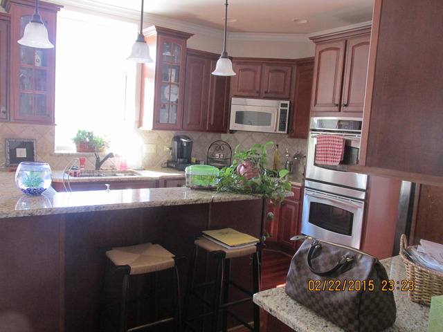 12931 Hawks Bill Ct, Plainfield, IL 60585 photo 5