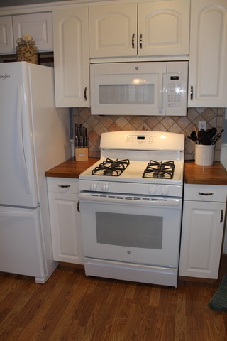 7 Hamilton Ave, Elgin, IL 60123 photo 5