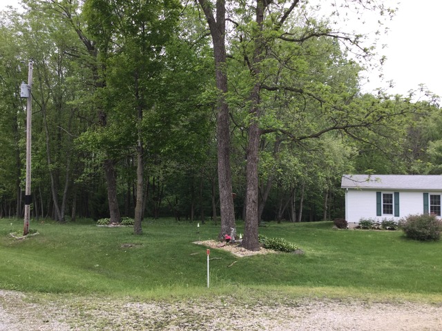 2780 E County Township Rd 121, Sheldon, IL 60966 photo 2
