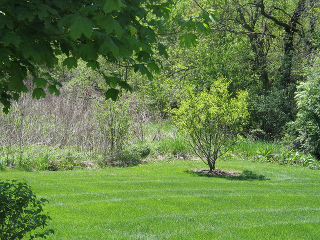 2130 Yale Cir, Hoffman Estates, IL 60192 photo 20