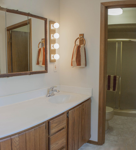 16 W541 Nielson Ln, Willowbrook, IL 60527 photo 16