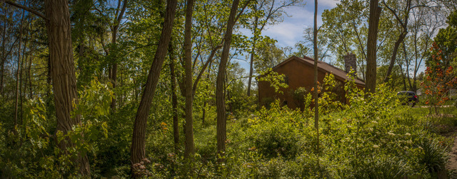 16 W541 Nielson Ln, Willowbrook, IL 60527 photo 22