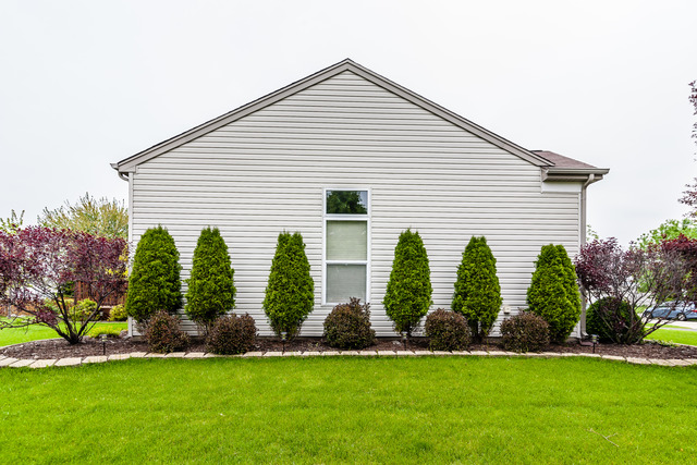 6805 Desert Dr, Plainfield, IL 60586 photo 17