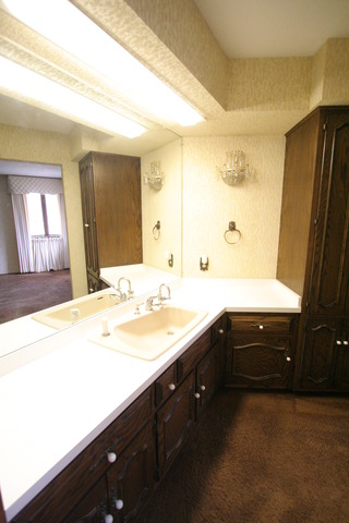 738 Old Stage Rd, Morris, IL 60450 photo 20
