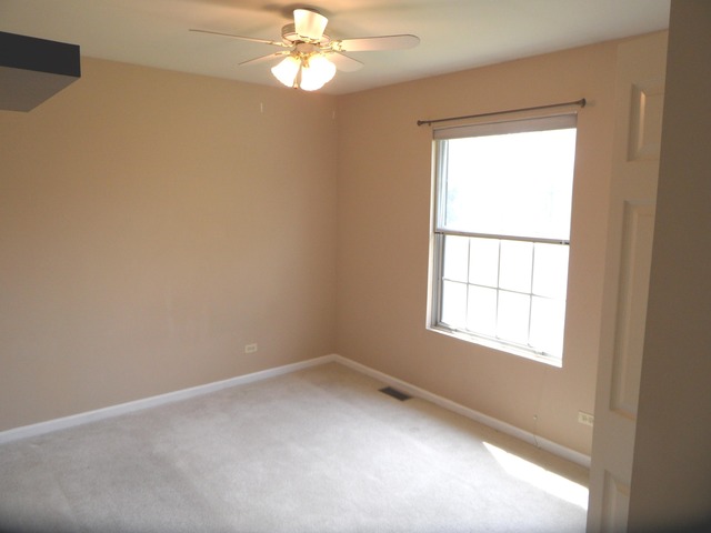 679 Foster Ave, Bartlett, IL 60103 photo 21