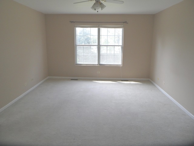 679 Foster Ave, Bartlett, IL 60103 photo 14