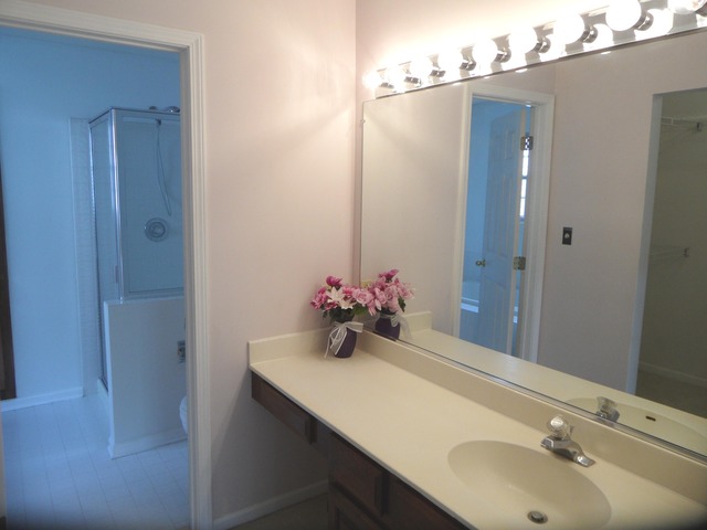 679 Foster Ave, Bartlett, IL 60103 photo 16