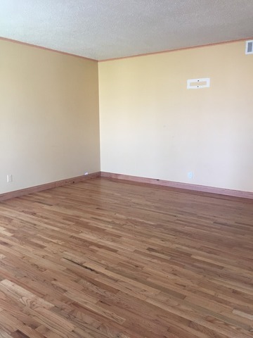 4677 W 83rd St, Chicago, IL 60652 photo 10