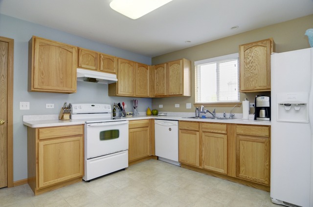 1149 Swan Dr, Elburn, IL 60119 photo 10