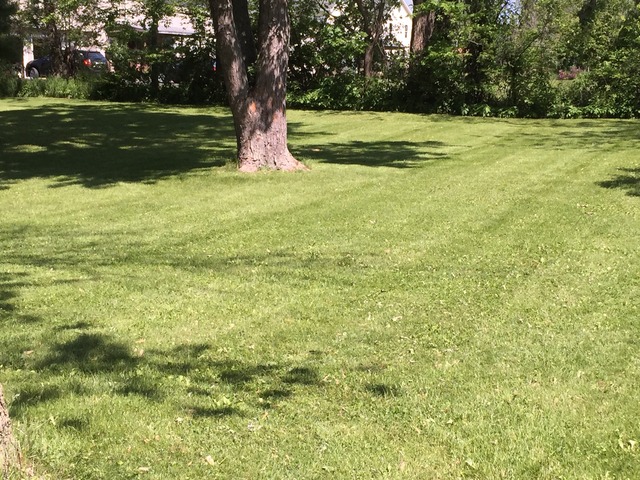 309 2nd Ave, Montgomery, IL 60538 photo 8