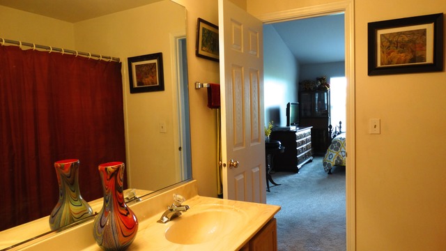 12 Grandview Ct, Algonquin, IL 60102 photo 13