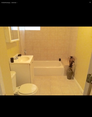 654 E 88th St, Chicago, IL 60619 photo 3