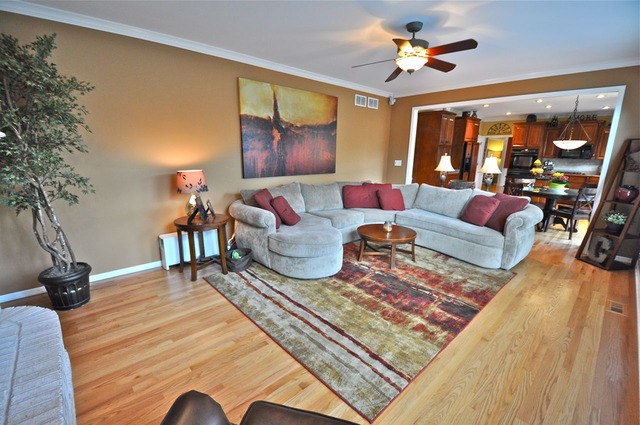 24205 Cropland Dr, Plainfield, IL 60544 photo 11