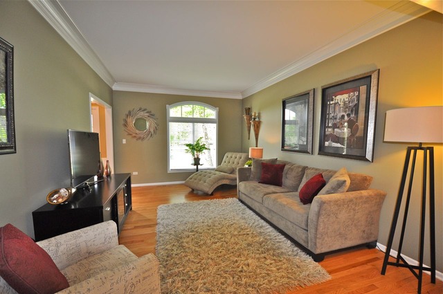 24205 Cropland Dr, Plainfield, IL 60544 photo 3