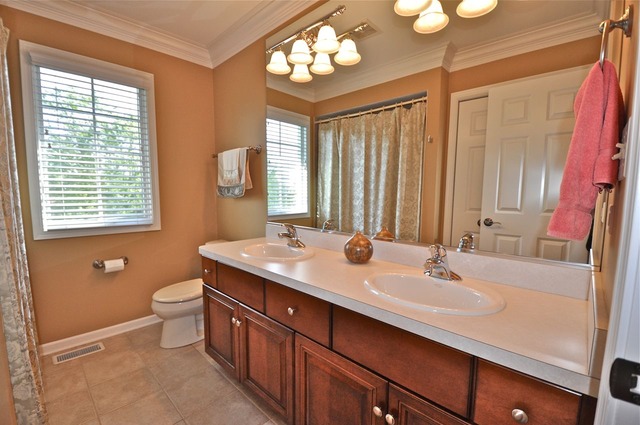 24205 Cropland Dr, Plainfield, IL 60544 photo 22