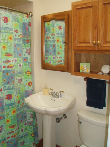 4216 Custer Ave, Brookfield, IL 60513 photo 14