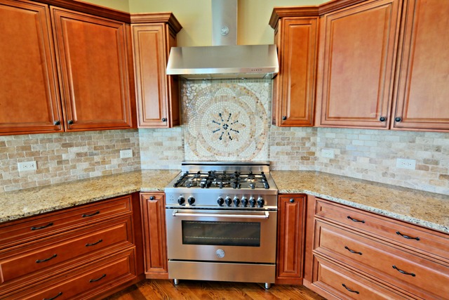 40 W655 Stonebriar Ln, Elgin, IL 60124 photo 11