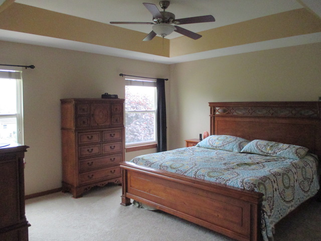 24019 Douglas Dr, Plainfield, IL 60585 photo 9