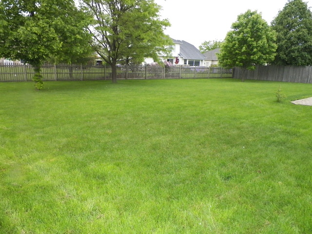 2023 Gleneagle Dr, Plainfield, IL 60586 photo 21