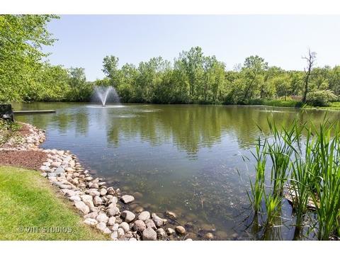 1361 Gordon Ln, Lemont, IL 60439 photo 11