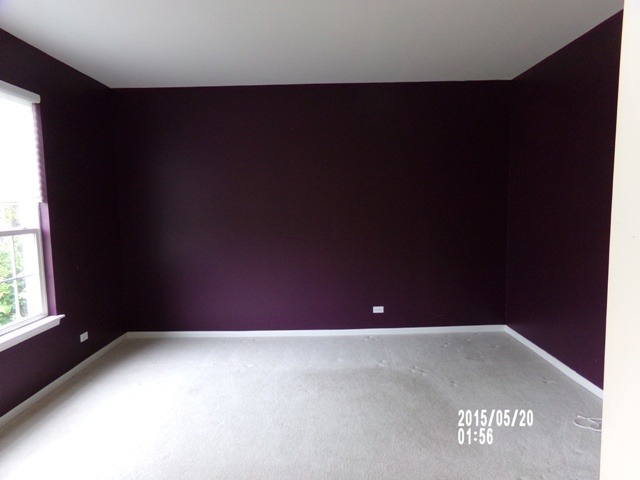 1821 Broadsmore Dr, Algonquin, IL 60102 photo 5
