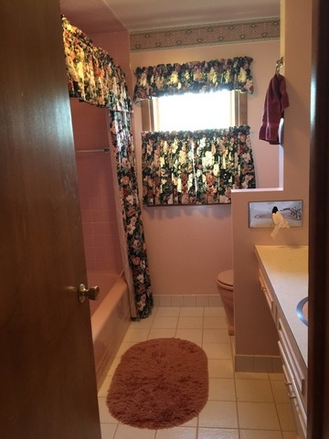 1015 E 8th St, Lockport, IL 60441 photo 18
