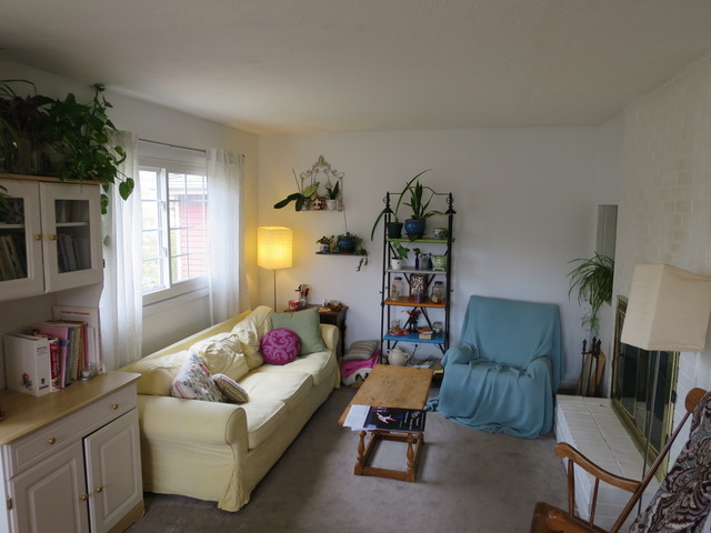 1019 E Lowden Ave, Wheaton, IL 60189 photo 5
