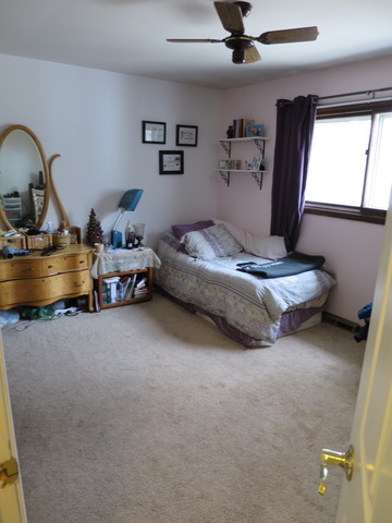 1019 E Lowden Ave, Wheaton, IL 60189 photo 8
