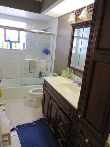1019 E Lowden Ave, Wheaton, IL 60189 photo 11