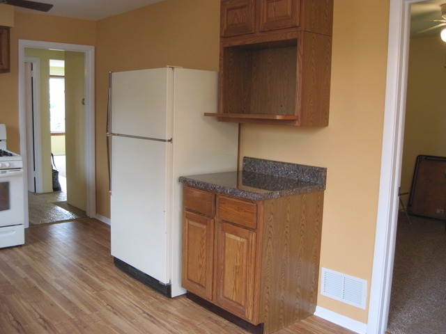 4342 W 82nd Pl, Chicago, IL 60652 photo 6