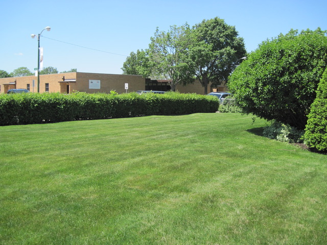 4342 W 82nd Pl, Chicago, IL 60652 photo 23