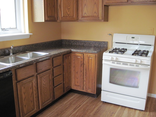 4342 W 82nd Pl, Chicago, IL 60652 photo 4