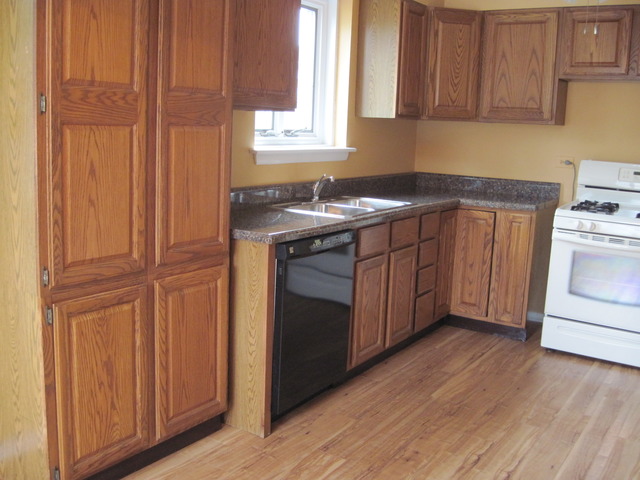 4342 W 82nd Pl, Chicago, IL 60652 photo 5