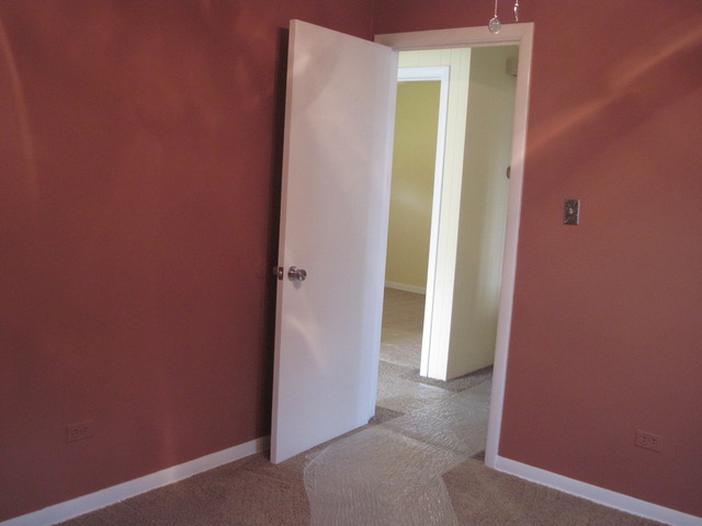 4342 W 82nd Pl, Chicago, IL 60652 photo 10
