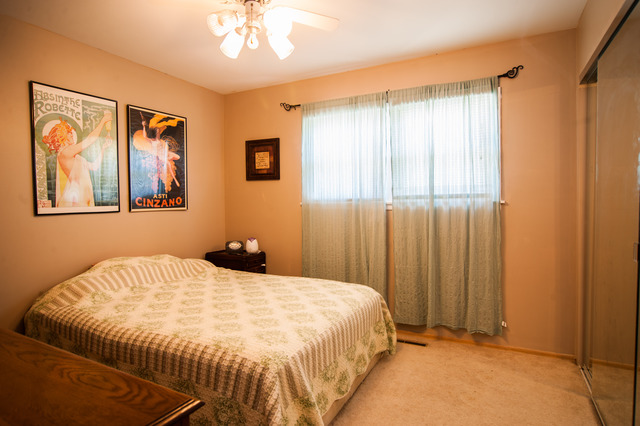 5652 Albert Dr, Oak Forest, IL 60452 photo 5