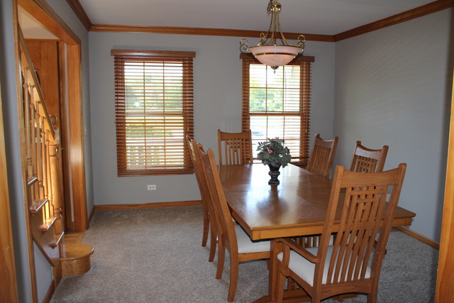12837 Shelly Ln, Plainfield, IL 60585 photo 4