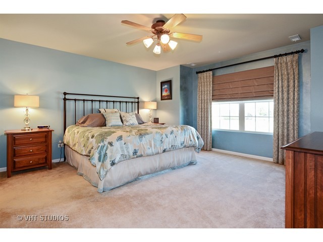 12924 White Pine Way, Plainfield, IL 60585 photo 9