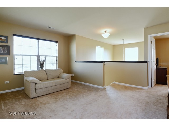 12924 White Pine Way, Plainfield, IL 60585 photo 8