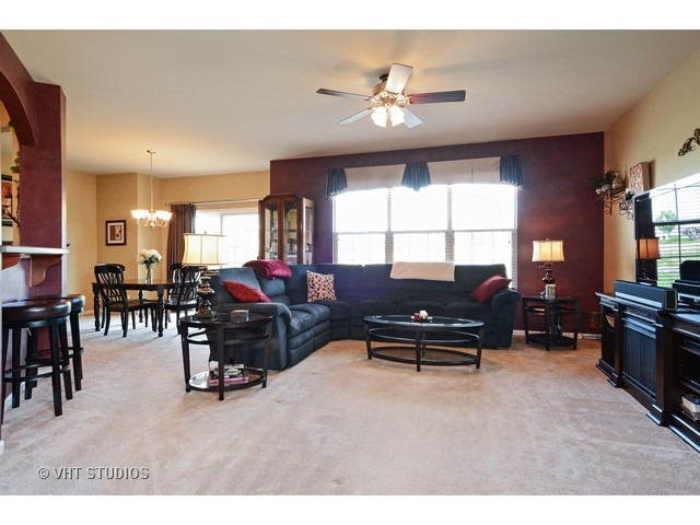 12924 White Pine Way, Plainfield, IL 60585 photo 5