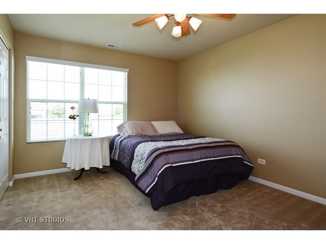12924 White Pine Way, Plainfield, IL 60585 photo 12
