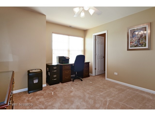 12924 White Pine Way, Plainfield, IL 60585 photo 15