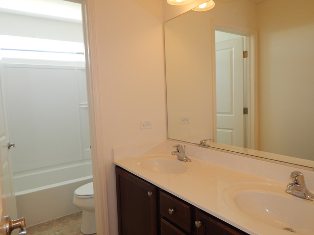 3303 Wanskuck St, Elgin, IL 60124 photo 16